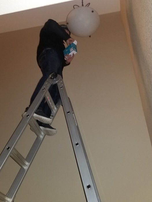 Interior Painting & Trim